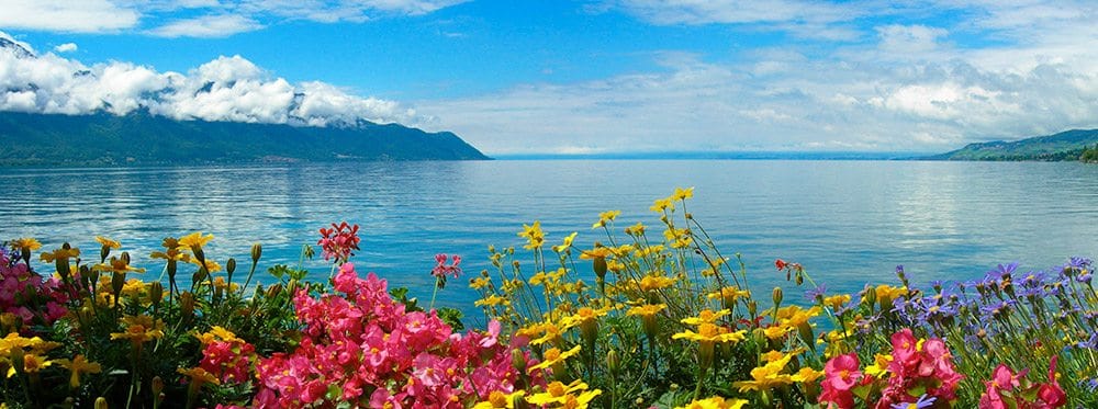 The Best International Schools in Montreux