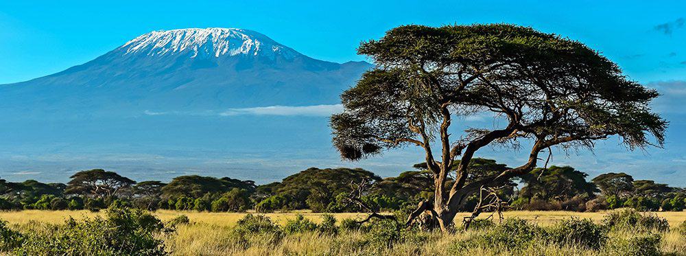 School Holidays in Kenya in 2019