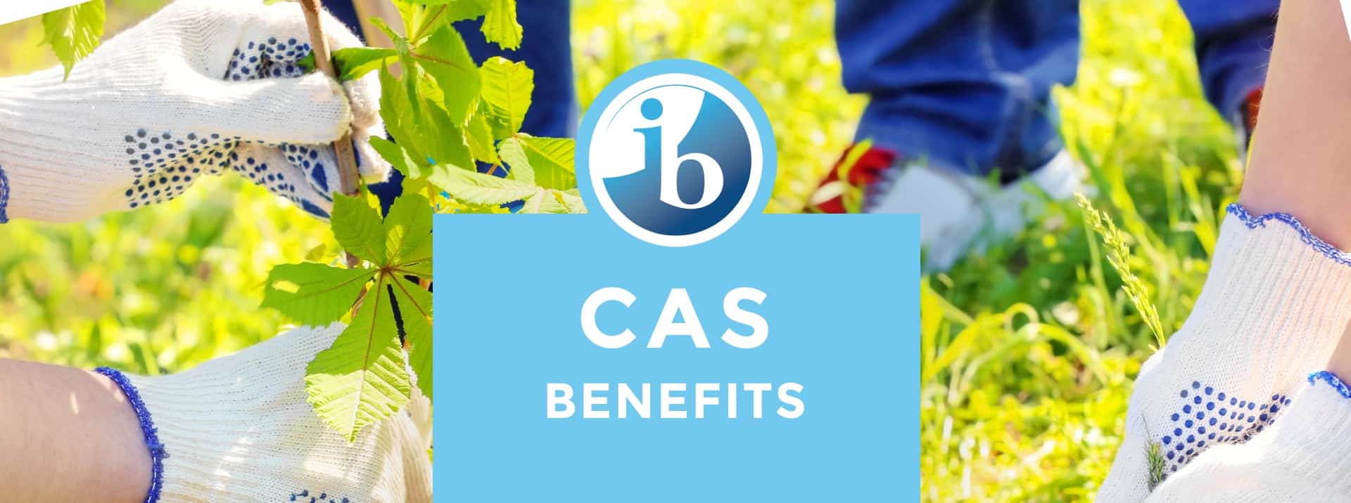 What are the benefits of the IB Diploma CAS?