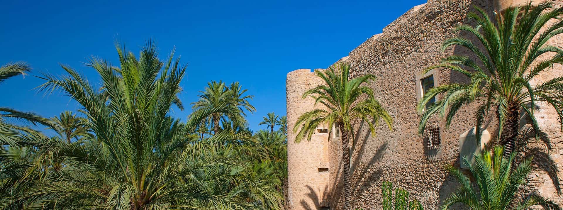 The Best International Schools in Elche