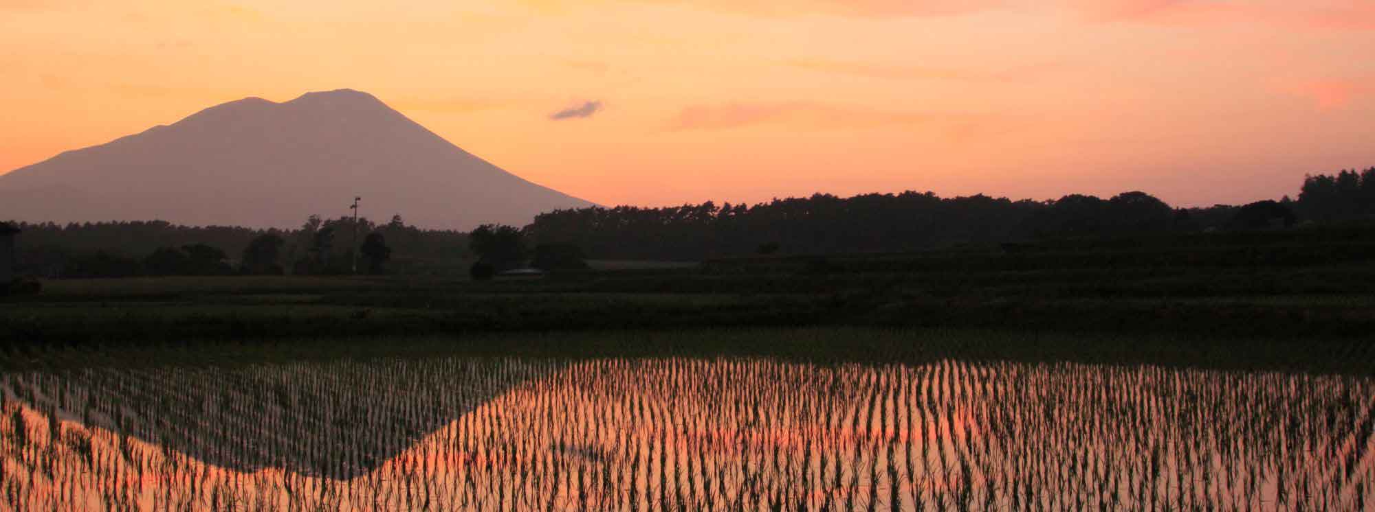 Best Boarding Schools in Morioka