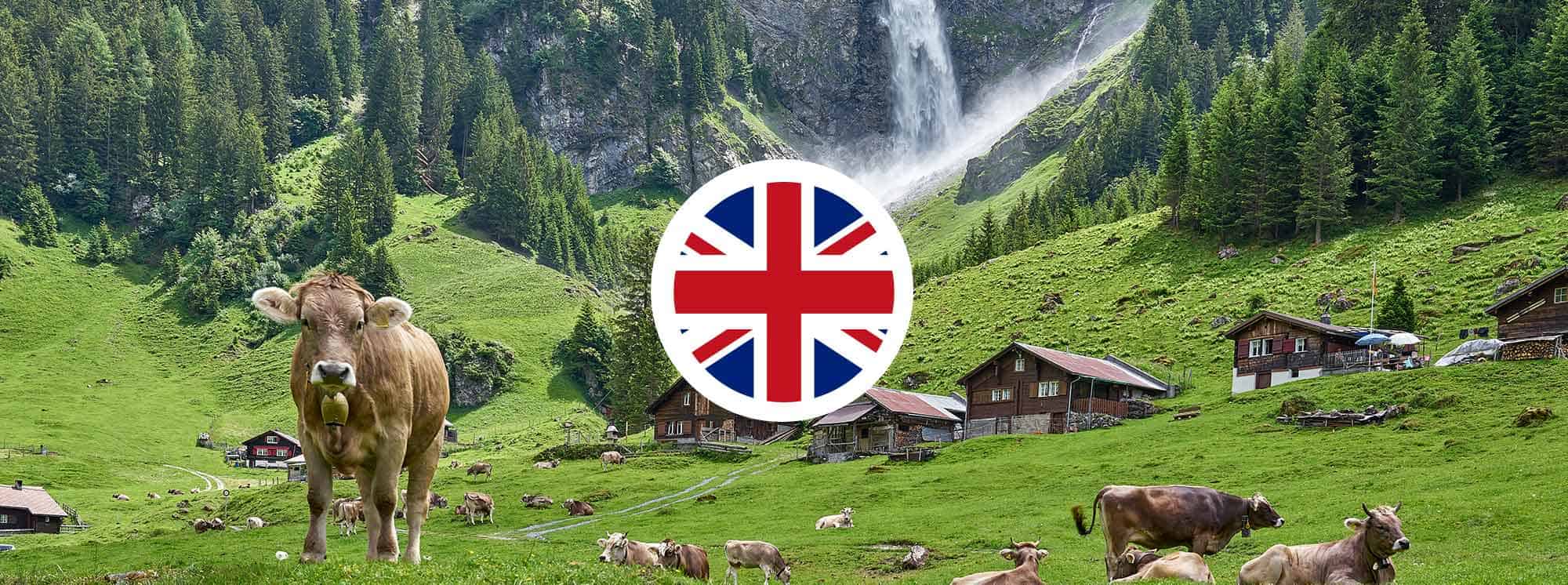 Best British Schools in Altdorf