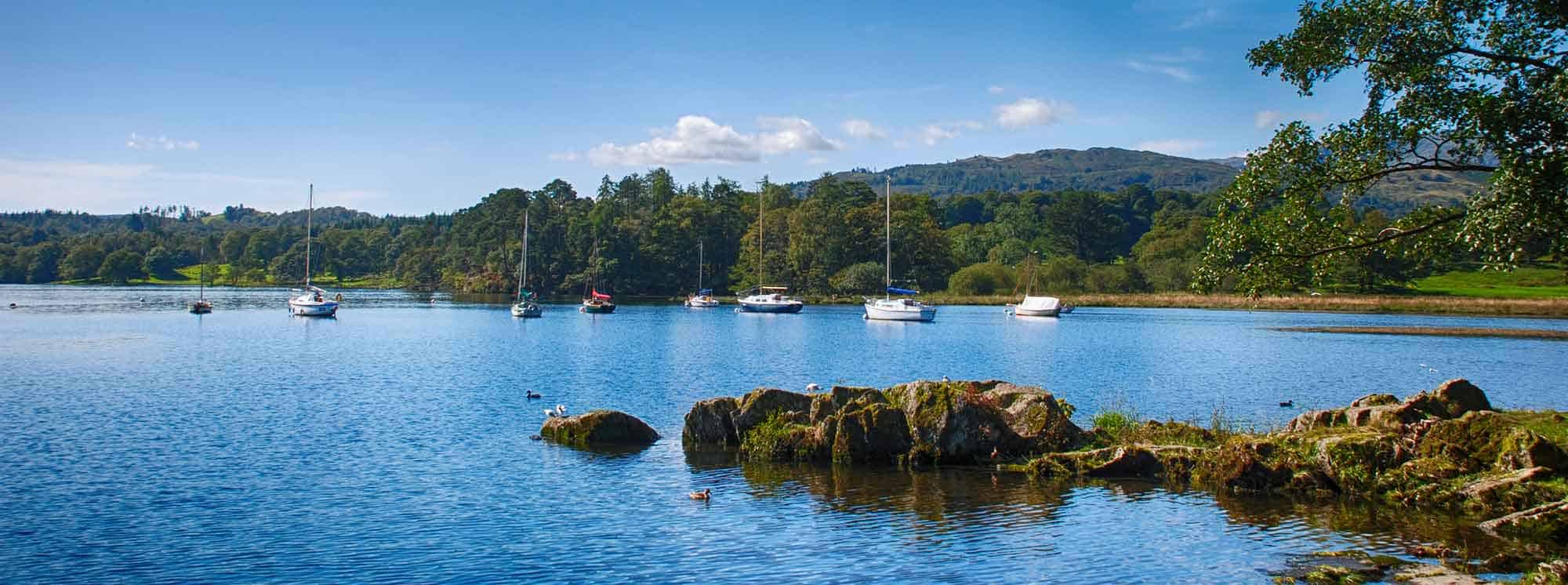 Best International Schools in Windermere