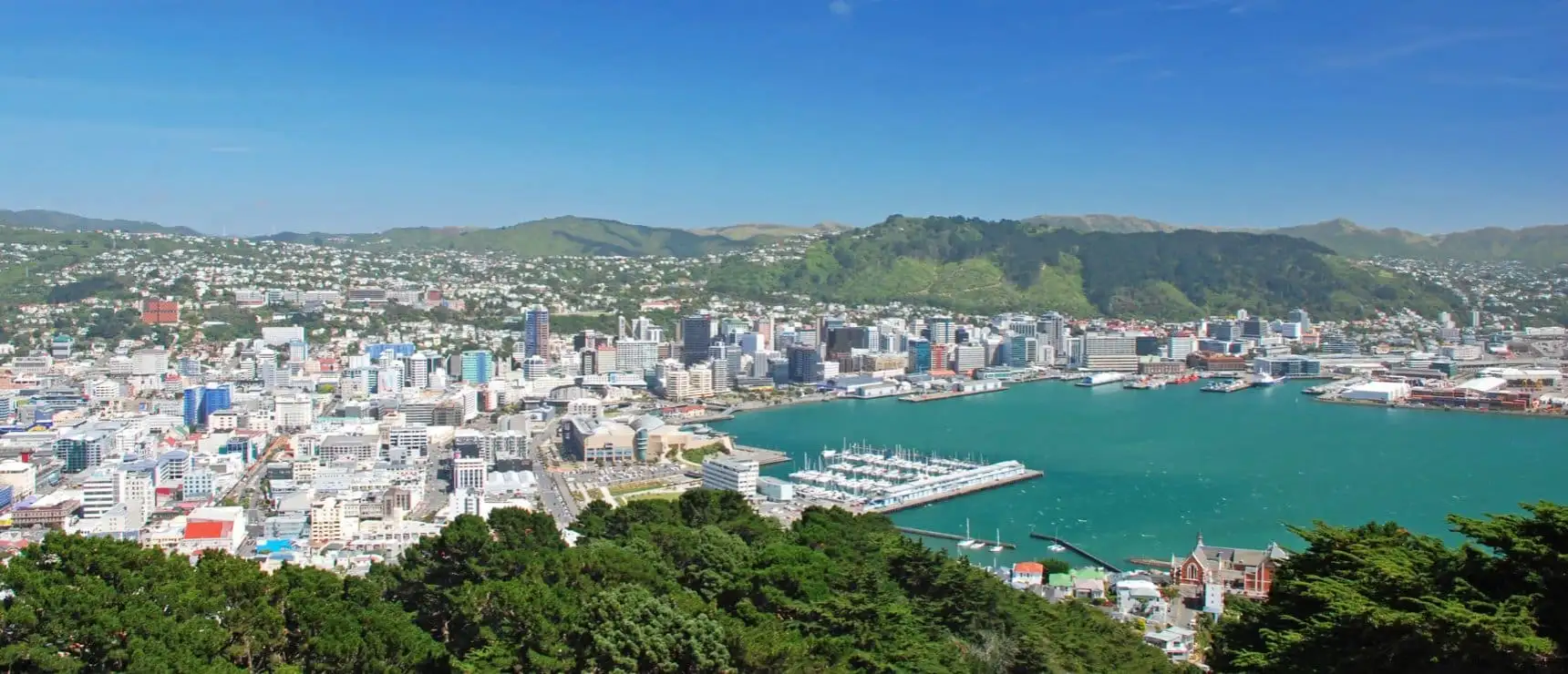 The Best International Schools in Wellington